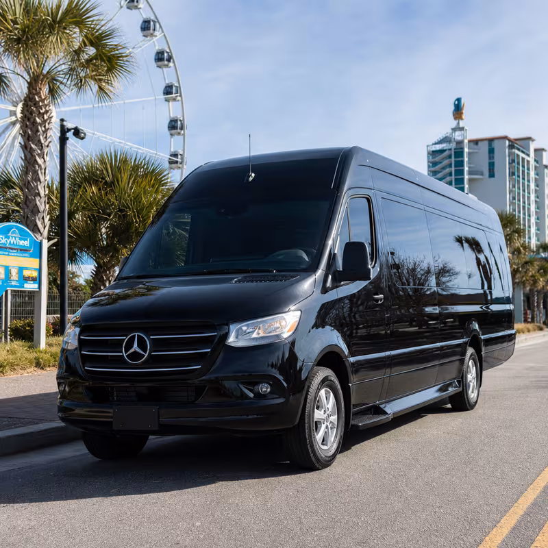14 Passenger Sprinter Limo